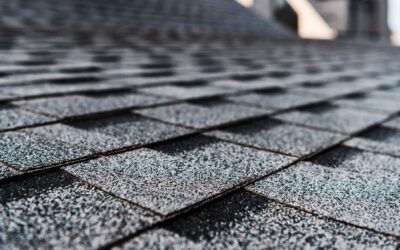 Metal vs. Shingle Roofing: What’s Best for Georgia Homes?